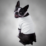 Vêtements pour animaux - Learn More